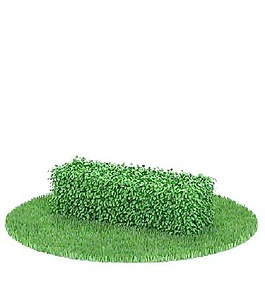 植物國外精品素材裝飾素材免費下載室內(nèi)裝飾素材 158