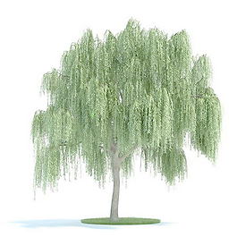 植物國外精品素材裝飾素材免費(fèi)下載植物3d模型 136