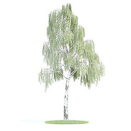 植物國(guó)外精品素材裝飾素材免費(fèi)下載室內(nèi)裝飾素材 140
