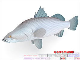 動物魚類3d模型動植物模型免費下載動植物3d模型 37