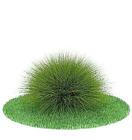 植物國外精品素材裝飾素材免費(fèi)下載裝修素材免費(fèi)下載 152
