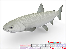 動物魚類3d模型動植物模型免費下載魚類3d素材 32