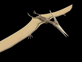 動(dòng)物恐龍爬行類3d模型素材免費(fèi)下載動(dòng)物模型 11