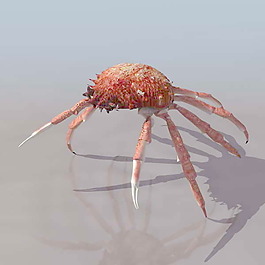 動(dòng)物魚類3d模型動(dòng)植物模型免費(fèi)下載3d模型免費(fèi)下載 60