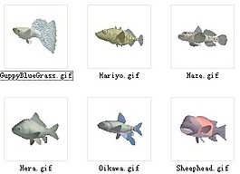 動物魚類3d模型動植物模型免費下載魚類3d素材 63