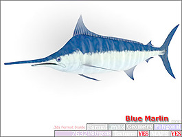 動(dòng)物魚類3d模型動(dòng)植物模型免費(fèi)下載3d模型免費(fèi)下載 38