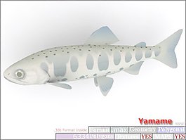 動物魚類3d模型動植物模型免費下載魚類3d素材 42