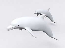 動(dòng)物魚類3d模型動(dòng)植物模型免費(fèi)下載魚類3d素材 62