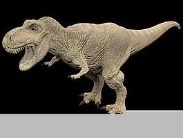 動物恐龍爬行類3d模型素材免費下載3d模型免費下載 14