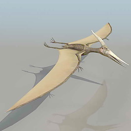 動物恐龍爬行類3d模型素材免費(fèi)下載動物模型免費(fèi)下載 17