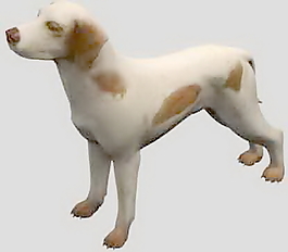 動(dòng)物哺乳動(dòng)物3d模型免費(fèi)下載動(dòng)植物 25