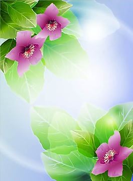 淡雅花葉背景