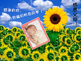 感恩父母幻燈片下載