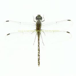 玻璃3d素材模型下載3d模板 275