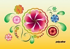 春夏季的花
