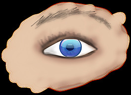 眼睛