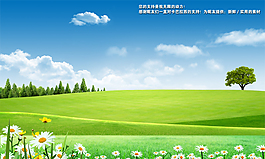草地