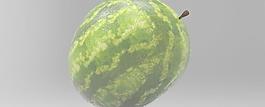 catiawatermelon