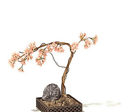 盆景植物3D模型、盆栽植物3D模型免費下載，含材質(zhì)-54