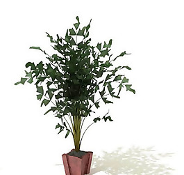 盆景植物3D模型、盆栽植物3D模型免費下載-16