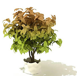 盆景植物3D模型、盆栽植物3D模型免費下載-8