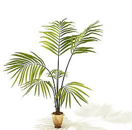 盆景植物3D模型、盆栽植物3D模型免費下載-2