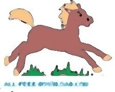 馬19