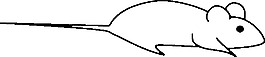 鼠標(biāo)外形剪貼畫