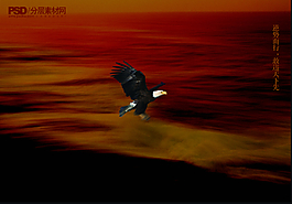 海上雄鷹PSD