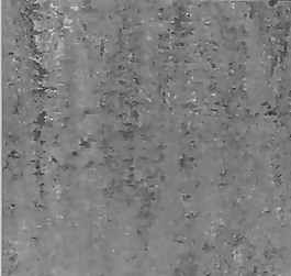高質(zhì)量混凝土/毛面3d材質(zhì)貼圖免費下載20090326更新-40