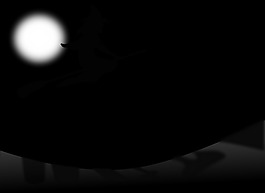 猫4