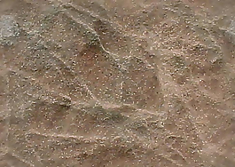 3D油彩材質(zhì)20081001更新139