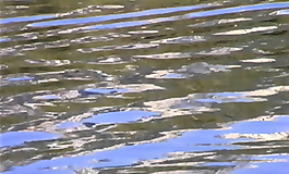 3D油彩材質(zhì)20081001更新52