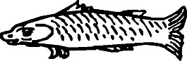 魚2剪貼畫