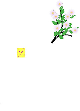 花剪辑艺术团