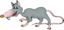 小鼠6