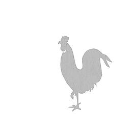 公雞|哈恩