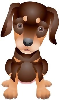 杜賓犬矢量6