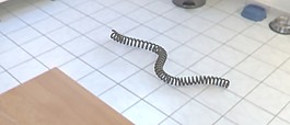 梗螺旋