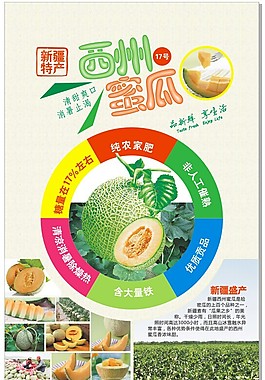 宣傳單