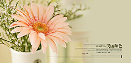 唯美婚紗寫真模板素材