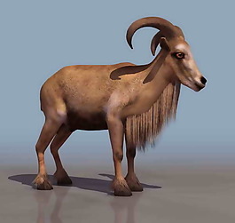 羚羊-動物3D模型素材2