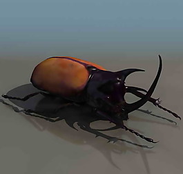 昆蟲-動物3D模型素材2