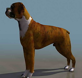 小狗-動物3D模型素材2