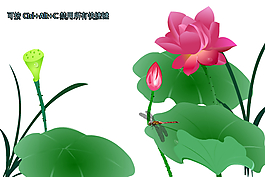 透明荷花素材