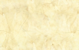 荒地質(zhì)感高質(zhì)量貼圖素材4