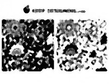 纠结的夏季花卉图案
