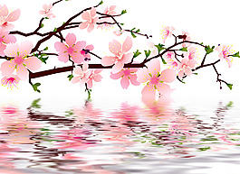 水中桃花倒影