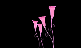 小花