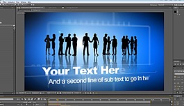 商務(wù)人士